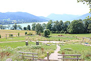 Blick auf den Kinderspielplatz, die Vieweide und das See-Panorama vom SB-Biergartens im Gut Kaltenbrunn (©Foto: Martin Schmitz)